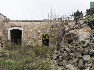 Facciamo poi retrofront e torniamo nel cortile dove era cominciato il nostro viaggio per visitare due interessanti edifici secondari. Su lato sinistro dello stabile principale c'� infatti un fabbricato con diversi accessi